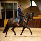 Pantalon d'hiver Lymée Softshell Full Grip - QHP - Déperlant