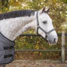 Ensemble licol et longe AW25 - QHP - Rembourré