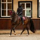 Veste Rayah manches détachables - QHP - Doublée teddy