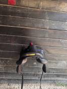 Selle forestier