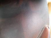 Selle Forestier Segonzac