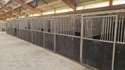 10 BOXES A CHEVAUX