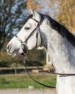 Bridon sans mors anatomique Ceto - QHP - Cuir doux