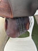 Selle parot