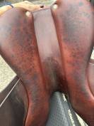 Selle Hervé Godignon T17