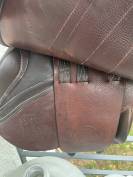 Selle Forestier Séoul 