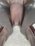 Selle Forestier Séoul 