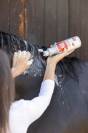 Shampoing French Kiss - Magic Brush - Soin apaisant
