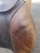 Selle Antares 17,5cm 2012 obstacle