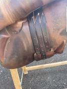 Selle Antares 17,5cm 2012 obstacle