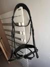 Bridon de dressage