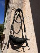 Bridon de dressage