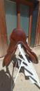 Selle Childeric CSO 