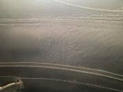 Selle de dressage Childeric DSC