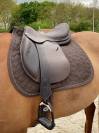 Selle forestier 
