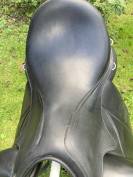 Forestier Aachen 17,5 noire 2021