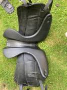 Forestier Aachen 17,5 noire 2021