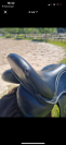 Selle prolight 