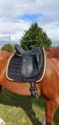 Sella da dressage Equipe  17.5" - 2021