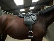 Selle CWD 2gs 17,5’