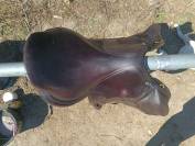 Selle monoquartier forestier 