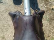 Selle monoquartier forestier 