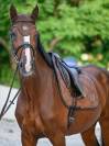 Bonnet anti-mouches Cappuccino Marron - Boss Equestrian