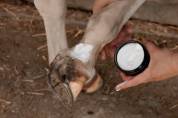 Crème anti gale de boue Mud Fever Cream - Grooming Deluxe