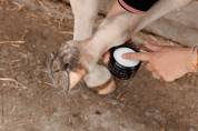 Crème anti gale de boue Mud Fever Cream - Grooming Deluxe