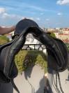 Selle de dressage Albion 17'5