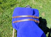 Selle Bates Élévation 