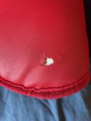 Guêtres de dressage rouge