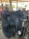 Selle de Dressage Wintec Isabel Hart 