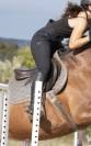 Sella mista Equipe  17" - 2023