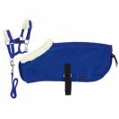 Set mini licol + couverture Pony Academy