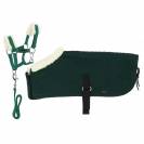 Set mini licol + couverture Pony Academy