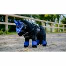Guêtres pour Pony Academy - Set de 4