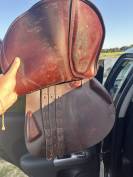 Sella da salto ostacoli Equipe  17" - 2020