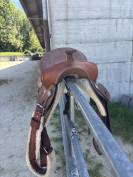 Sella western   16" - 2024