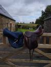 Selle Antares dressage 