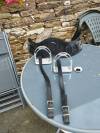 Selle Antares dressage 