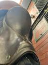 Selle Stubben 18’