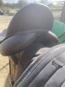Selle wintec 17.5 