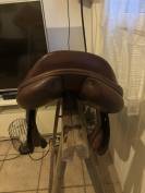 Super affaire – Selle Équipe Synergy 17,5