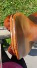 Selle Mixte Forestier 17,5'