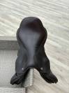 Pariani jumping saddle