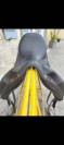 Selle dressage Devoucoux