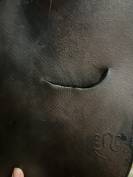 Sella da salto ostacoli  Bruno delgrange  17" - 2009