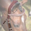 Têtière Paris / Bruxelles - Jump'In - Cuir