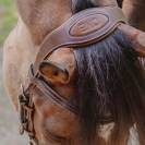 Têtière New York - Jump'In - Collection One